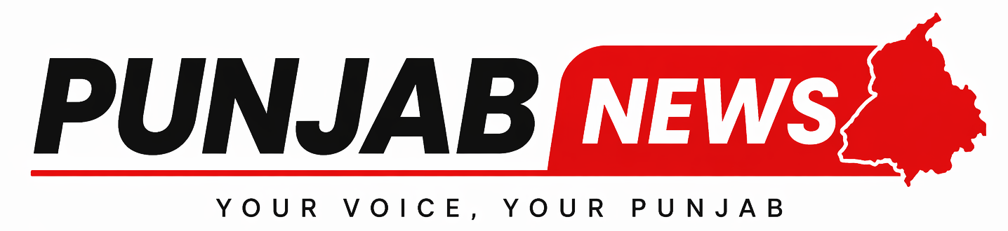 punjabnewstime.online